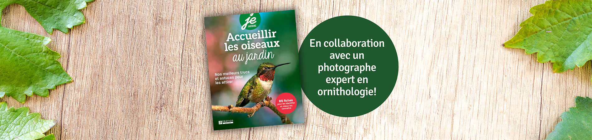 Accueillir-les-oiseaux-au-jardin—Bannière-PÉ