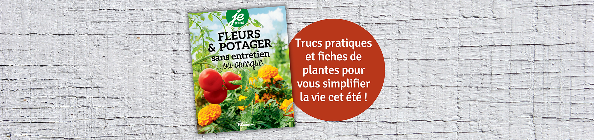 Fleurs-et-potager-sans-entretien.