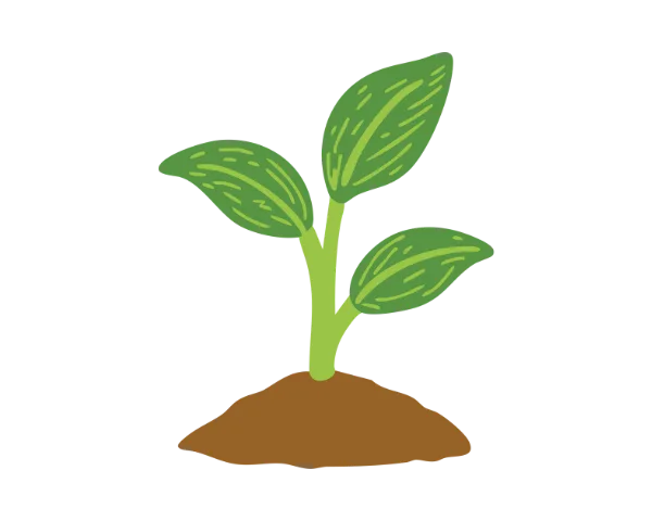 Développement personnel